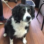 Wayne Walsh - @wayne.walsh.984 - Instagram