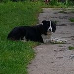 Wayne Walters - @walters_wayne - Instagram