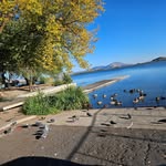 Wayne Wambolt - @waynewambolt - Instagram