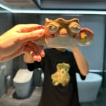 Wayne Wang - @wayne_wang___ - Instagram