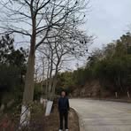 Wayne Wang - Facebook