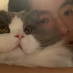 Zijie Wang - @__waynewang - Instagram
