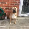 waynewardell1 - @waynewardell1 - TikTok