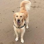 Wayne Wardle - @w_wardle - Instagram