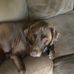 Wayne Wardwell - Facebook