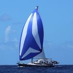 Wayne Warrington - @sailingsweetreach - Instagram