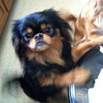 DUBLU43 - @wayne.weatherford.77 - Instagram