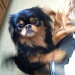 Wayne Weatherford - @weatherford_wayne - Instagram