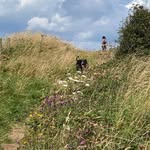 Wayne Ziggy - @wayneweatherson6 - Instagram
