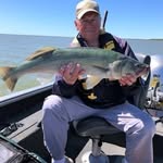 Wayne Wedge - @wedgewayne - Instagram