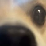 Wayne - @_wayne_wei - Instagram