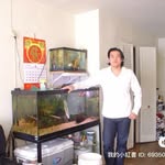 wayne wei - @waynewei570 - Instagram
