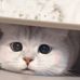 Wayne Wei - Facebook