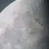 WayneWei - @waynewei88 - TikTok