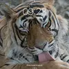 Wayne_weir - @wayne_weir - TikTok