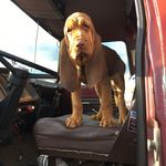 Wayne Welch - @waynewelch3333 - Instagram