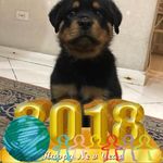 Wayne Welch - @wayne.welch.71271 - Instagram