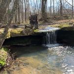 Wayne Welch - @wayne.welch.71 - Instagram