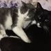 Wayne Welch - Facebook
