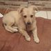 Wayne Wellington - Facebook