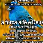 Wellington Wayne Guimarães - @wellingtonwayneguimaraes - Instagram