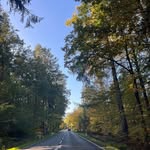 Wayne Wesolowski - @waynewesolowski - Instagram