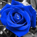 Wayne Whiteside - @mrwhite1952 - Instagram