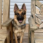Linda Wayne Whitmore - @whitmorelindawayne - Instagram