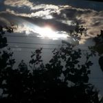 Wayne Whitten - @whittenwayne - Instagram
