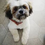 Wayne Wilcox - @waynewilcox54 - Instagram
