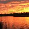 Wayne Wilder - @wayne.wilder - TikTok