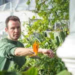 Wayne Williams - @theplantaholic1 - Instagram