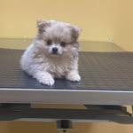 Wayne Willis - @wayne_willis1 - Instagram