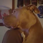 Wayne Willis - @waynewillis703 - Instagram