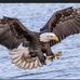 Wayne Wunder - Facebook