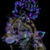 wayneweget - @wayneweget - TikTok