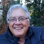 Wayne Winsor - @wwinsor - Instagram