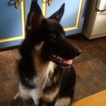 Wayne Winter - @burkster01 - Instagram