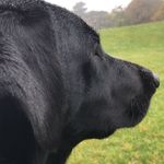 @waynewinter - Instagram
