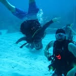 Wayne Wimer - @waynewimer - Instagram