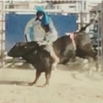 wayne witt - @wildwilly1947 - Instagram