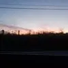Wayne Wittman - @waynewittman - TikTok