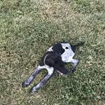 Wayne Wittman - @wayne.wittman - Instagram