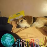 Wayne Woods - @wayne.woods.31586 - Instagram