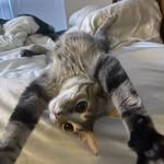 wayne woodward - @pep4prez12 - Instagram