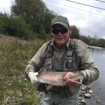 Wayne Woodward - @waynewoodwardnz - Instagram