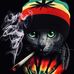 Wayne Worth - Facebook