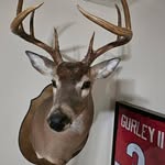 Wayne Wycuff - @waynewycuff - Instagram