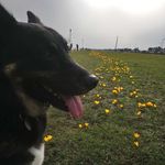 Wayne Yates - @wayne.yates.73550 - Instagram