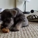 Wayne Yeager - @time_on_the_trail - Instagram